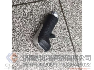 WG9900241001,,济南凯尔特商贸有限公司
