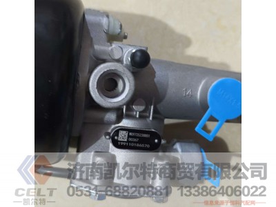 WG9725230051,,济南凯尔特商贸有限公司
