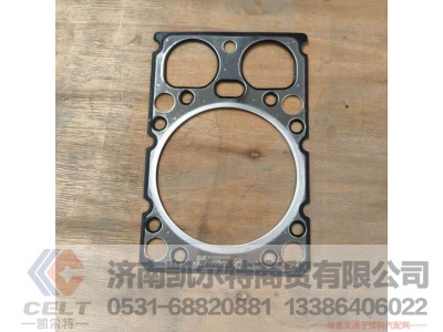 VG1500040049,,济南凯尔特商贸有限公司