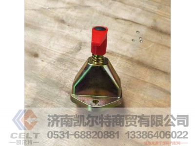 WG9100760100,,济南凯尔特商贸有限公司 WG9100760100,,济南凯尔特商贸有限公司