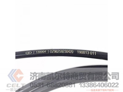 DZ96259230420,,济南凯尔特商贸有限公司