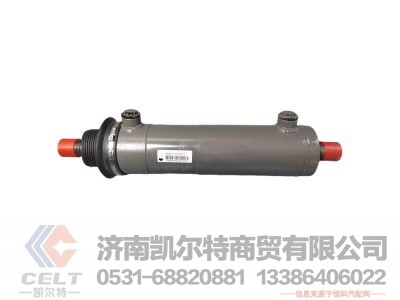 WG9931477220,,济南凯尔特商贸有限公司