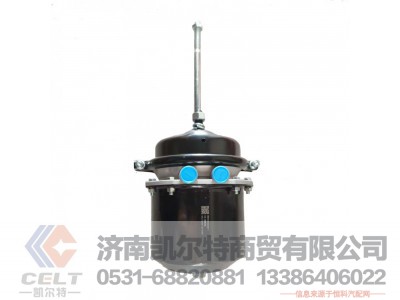 WG9000360611,,济南凯尔特商贸有限公司