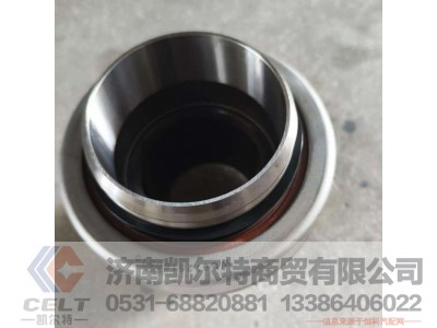 WG9725160510,,济南凯尔特商贸有限公司