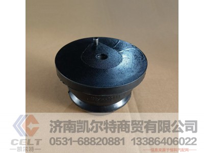 WG9925522111,限位块总成(长岛高能),济南凯尔特商贸有限公司