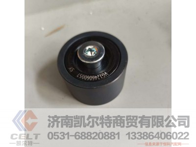 VG1246060057,,济南凯尔特商贸有限公司