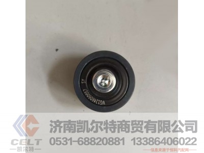 VG1246060057,,济南凯尔特商贸有限公司