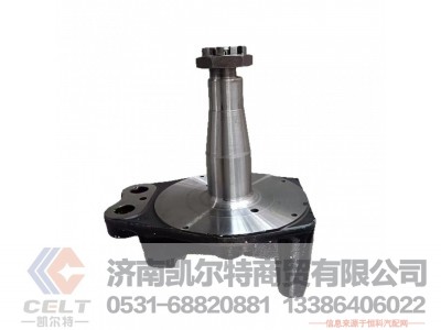 99112410057,,济南凯尔特商贸有限公司