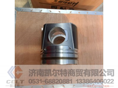 WPB612650020002,活塞,济南凯尔特商贸有限公司