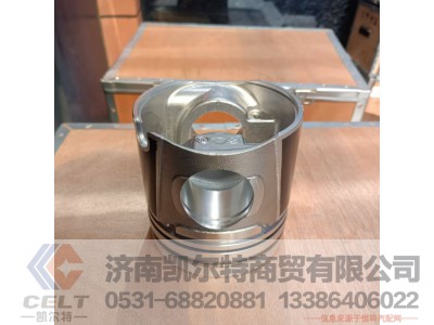 WPB612650020002,活塞,济南凯尔特商贸有限公司