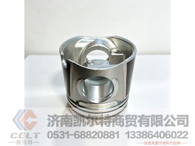 WPB612650020002,活塞,济南凯尔特商贸有限公司