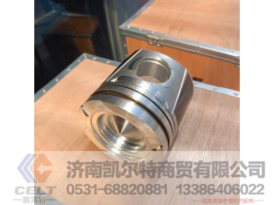 WPB612650020002,活塞,济南凯尔特商贸有限公司