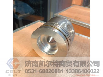 TP13038398,活塞,济南凯尔特商贸有限公司