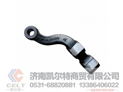 AZ4075410061,转向横拉杆臂(左),济南凯尔特商贸有限公司