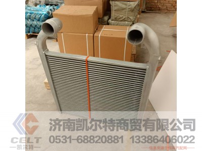WG9925530137,,济南凯尔特商贸有限公司
