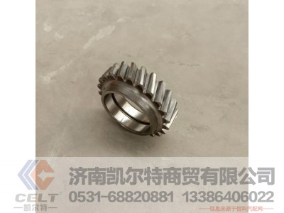 614070061,机油泵中间齿轮,济南凯尔特商贸有限公司