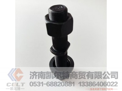 22/20*125,后轮螺栓,济南凯尔特商贸有限公司