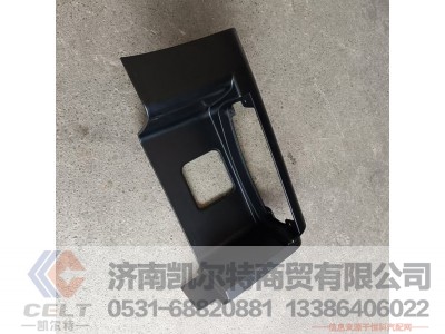 WG1664248115,左踏板(取消下饰板),济南凯尔特商贸有限公司