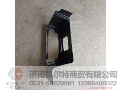 WG1664248115,左踏板(取消下饰板),济南凯尔特商贸有限公司