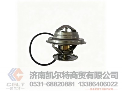 WPB612630060031,内置节温器,济南凯尔特商贸有限公司