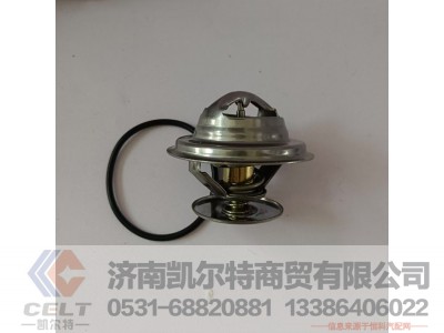 WPB612630060031,内置节温器,济南凯尔特商贸有限公司