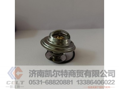 WPB612630060031,内置节温器,济南凯尔特商贸有限公司