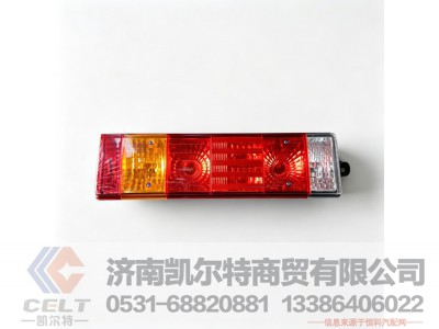 DZ9200810019（81.25225.6464）,t/带侧标专灯7功能新型组合后灯(左),济南凯尔特商贸有限公司