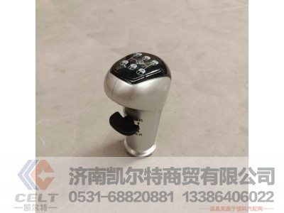 WG9925240020,变速器换挡手柄及挡位标牌总成(10挡),济南凯尔特商贸有限公司