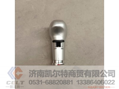 WG9925240020,变速器换挡手柄及挡位标牌总成(10挡),济南凯尔特商贸有限公司