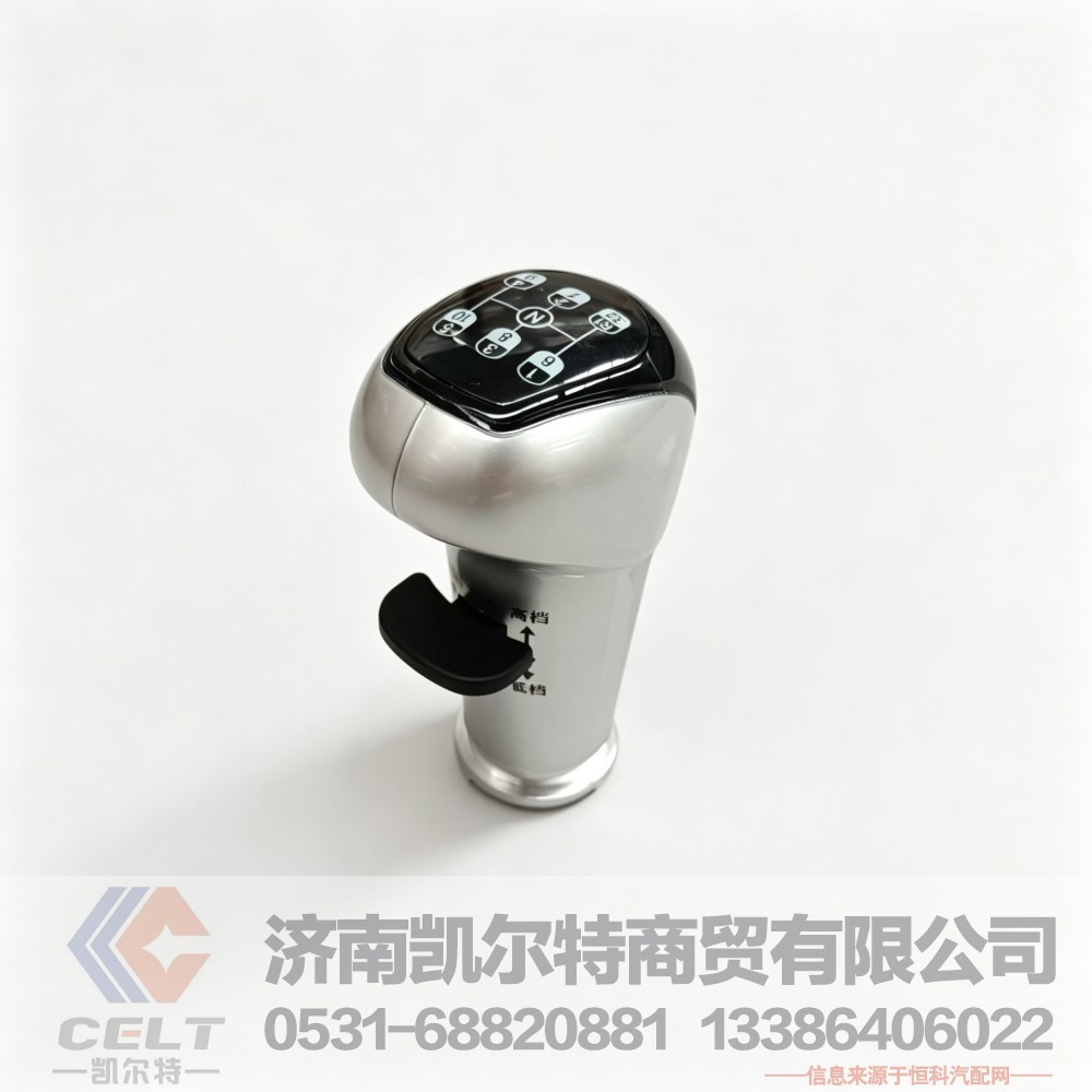 WG9925240020,变速器换挡手柄及挡位标牌总成(10挡),济南凯尔特商贸有限公司
