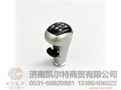 WG9925240020,变速器换挡手柄及挡位标牌总成(10挡),济南凯尔特商贸有限公司