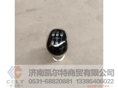 WG9925240020,变速器换挡手柄及挡位标牌总成(10挡),济南凯尔特商贸有限公司