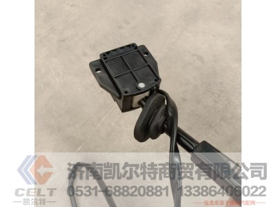DZ95189583111,排气制动开关（转向柱上）,济南凯尔特商贸有限公司