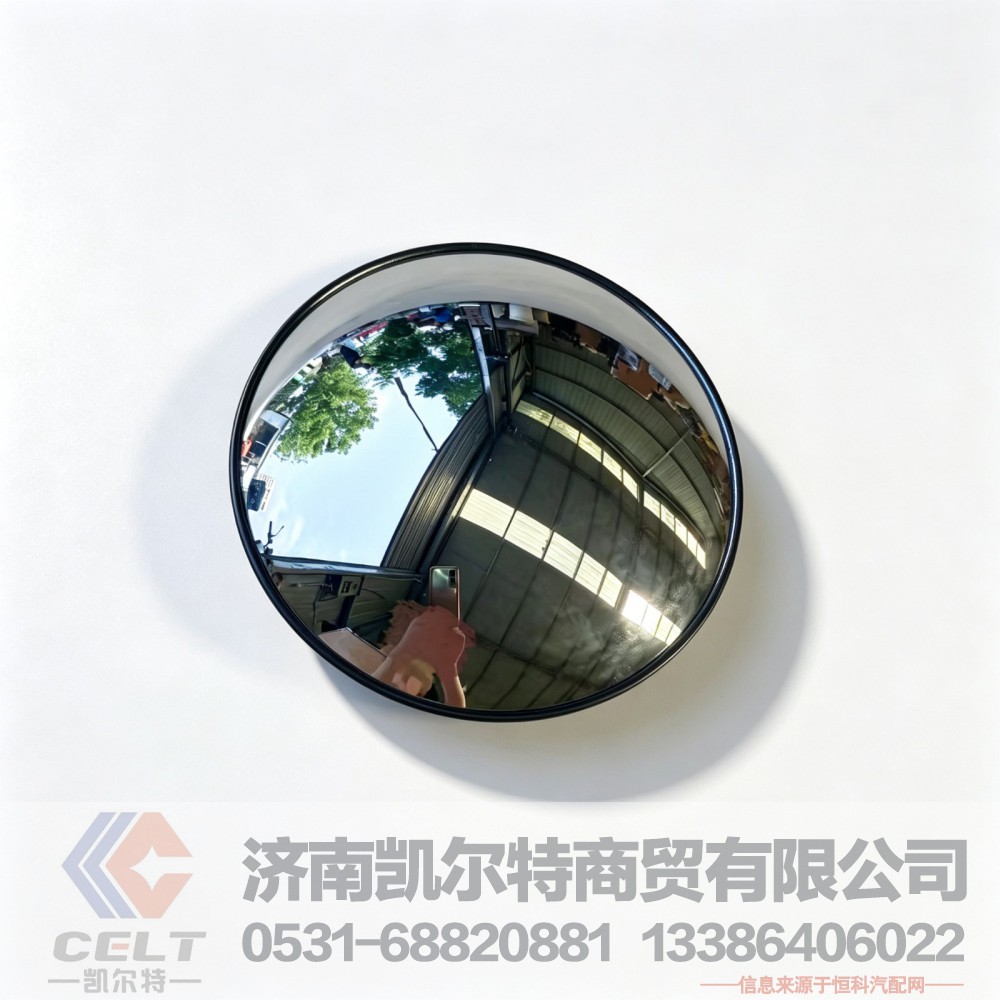WG1651770053,前下视镜总成,济南凯尔特商贸有限公司