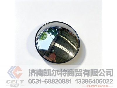 WG1651770053,前下视镜总成,济南凯尔特商贸有限公司