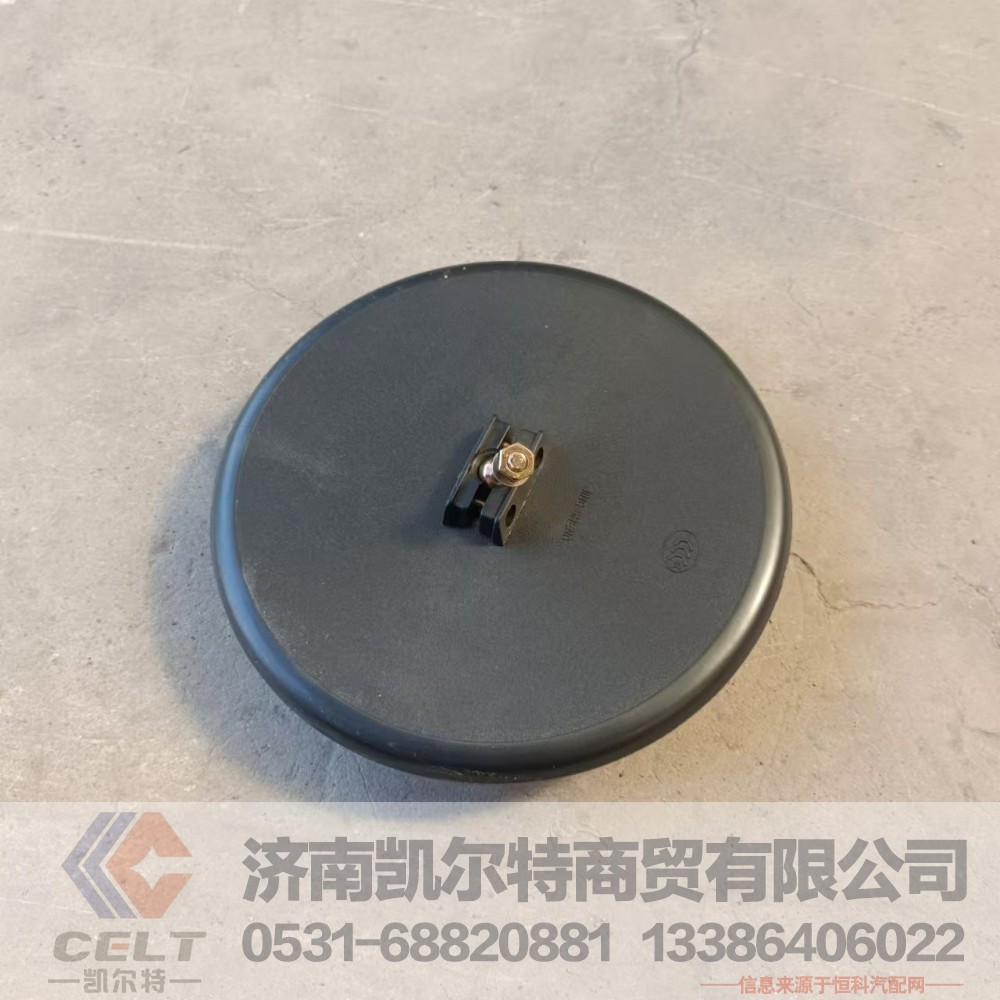 WG1651770053,前下视镜总成,济南凯尔特商贸有限公司