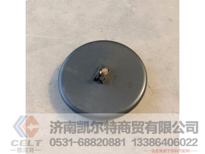 WG1651770053,前下视镜总成,济南凯尔特商贸有限公司