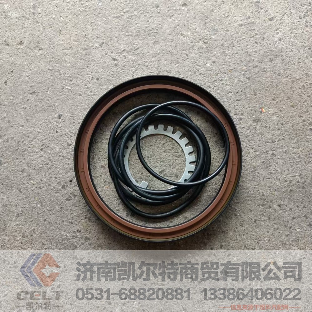 供应重汽配件 后轮油封WG9981340113 双封一体轴密封圈190*220*30图3