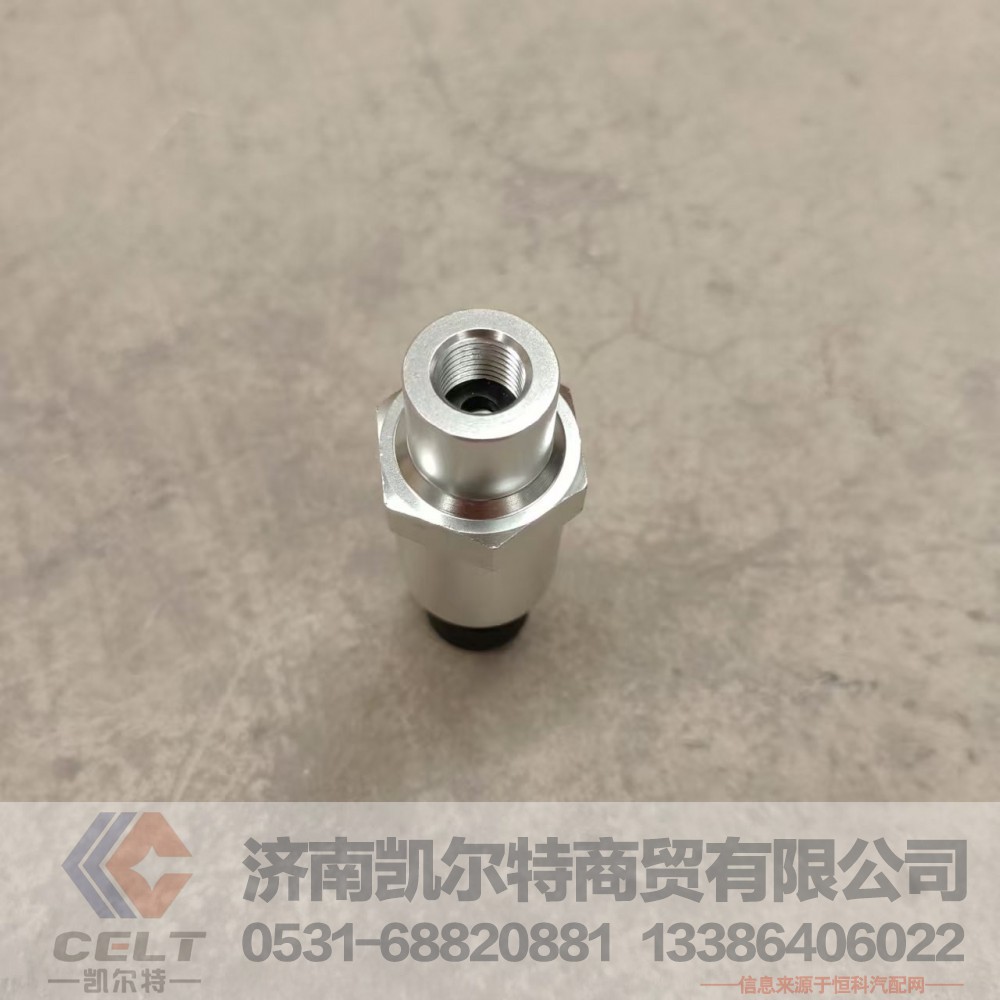 DZ97189711320,空滤堵塞报警传感器,济南凯尔特商贸有限公司