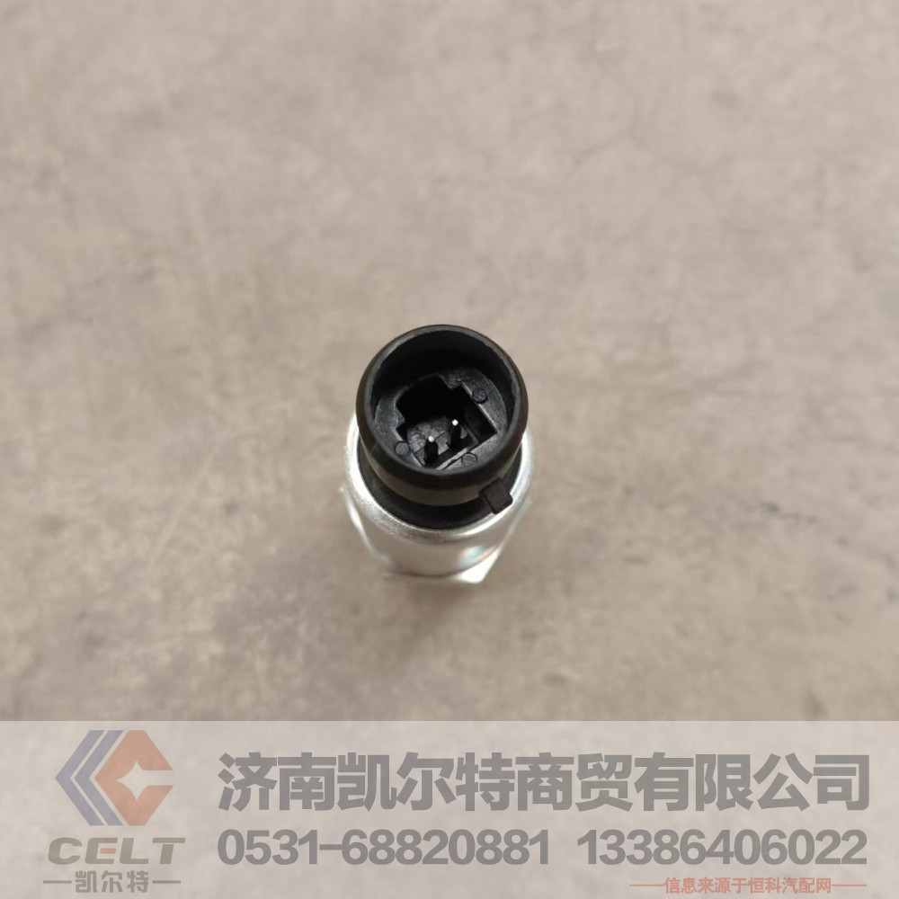 DZ97189711320,空滤堵塞报警传感器,济南凯尔特商贸有限公司