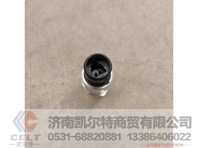 DZ97189711320,空滤堵塞报警传感器,济南凯尔特商贸有限公司