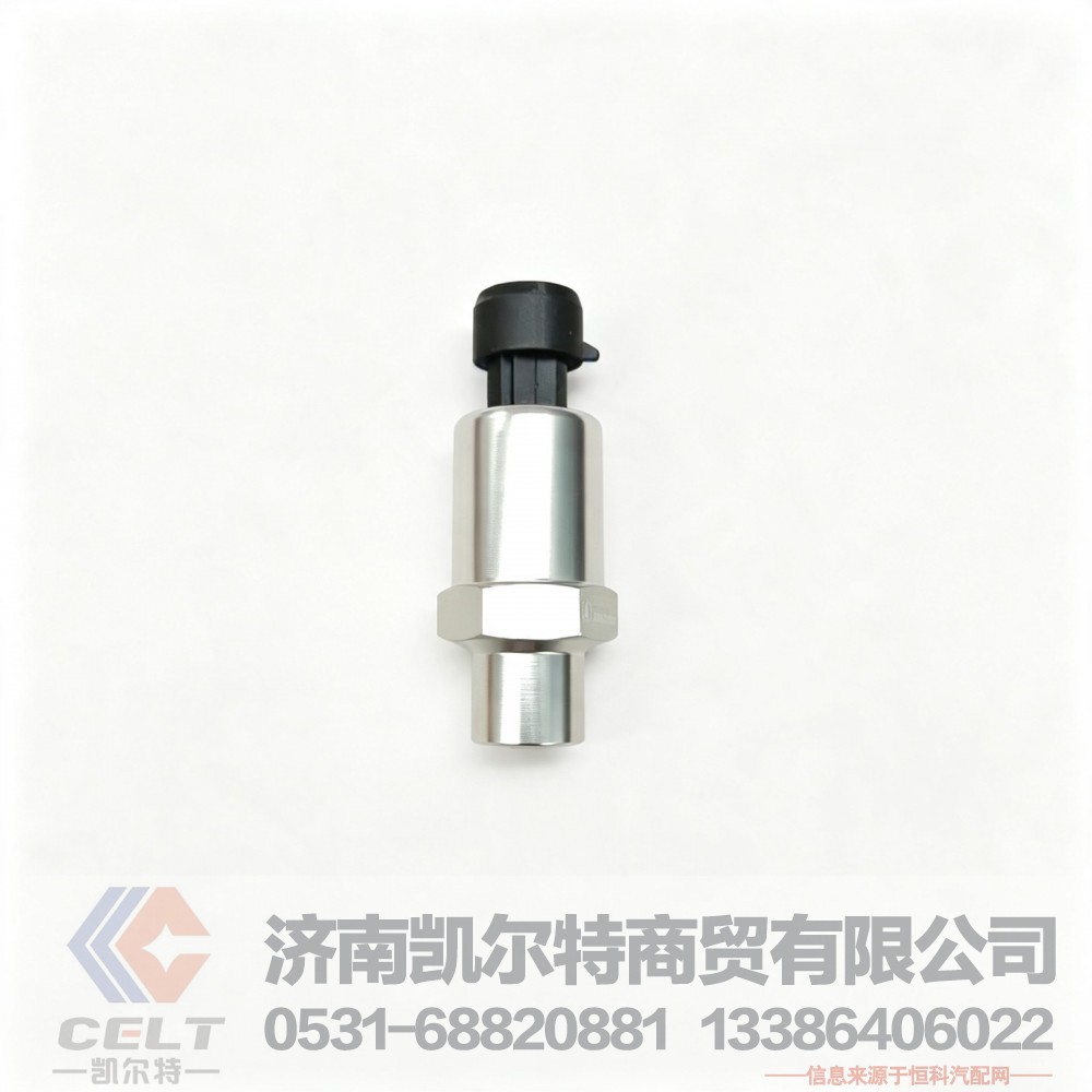 DZ97189711320,空滤堵塞报警传感器,济南凯尔特商贸有限公司