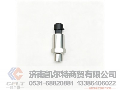 DZ97189711320,空滤堵塞报警传感器,济南凯尔特商贸有限公司