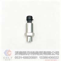陕汽德龙X3000空滤器堵塞报J开关DZ97189711320 空滤器堵塞指示传感器