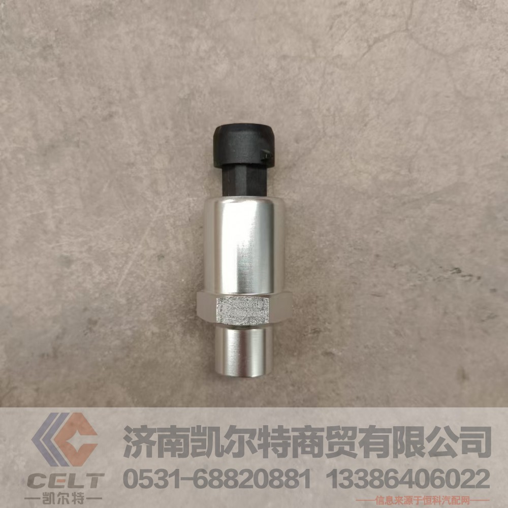 DZ97189711320,空滤堵塞报警传感器,济南凯尔特商贸有限公司
