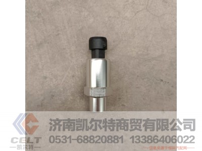 DZ97189711320,空滤堵塞报警传感器,济南凯尔特商贸有限公司