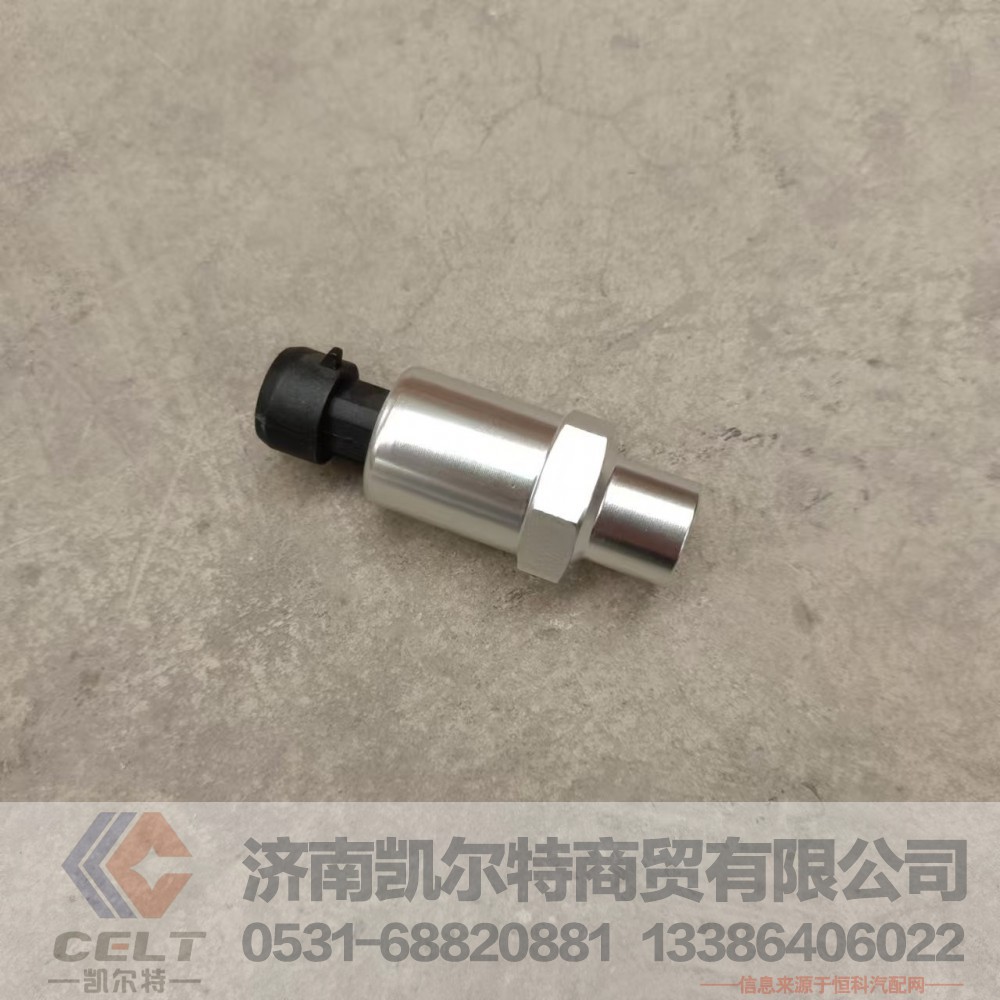DZ97189711320,空滤堵塞报警传感器,济南凯尔特商贸有限公司