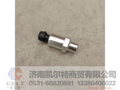 DZ97189711320,空滤堵塞报警传感器,济南凯尔特商贸有限公司