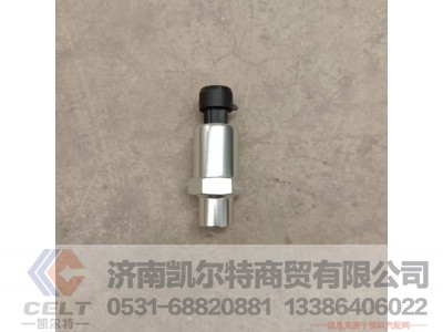 DZ97189711320,空滤堵塞报警传感器,济南凯尔特商贸有限公司