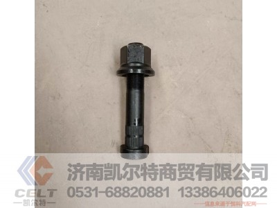 M22*130,奔驰螺丝132长,济南凯尔特商贸有限公司 M22*130,奔驰螺丝132长,济南凯尔特商贸有限公司